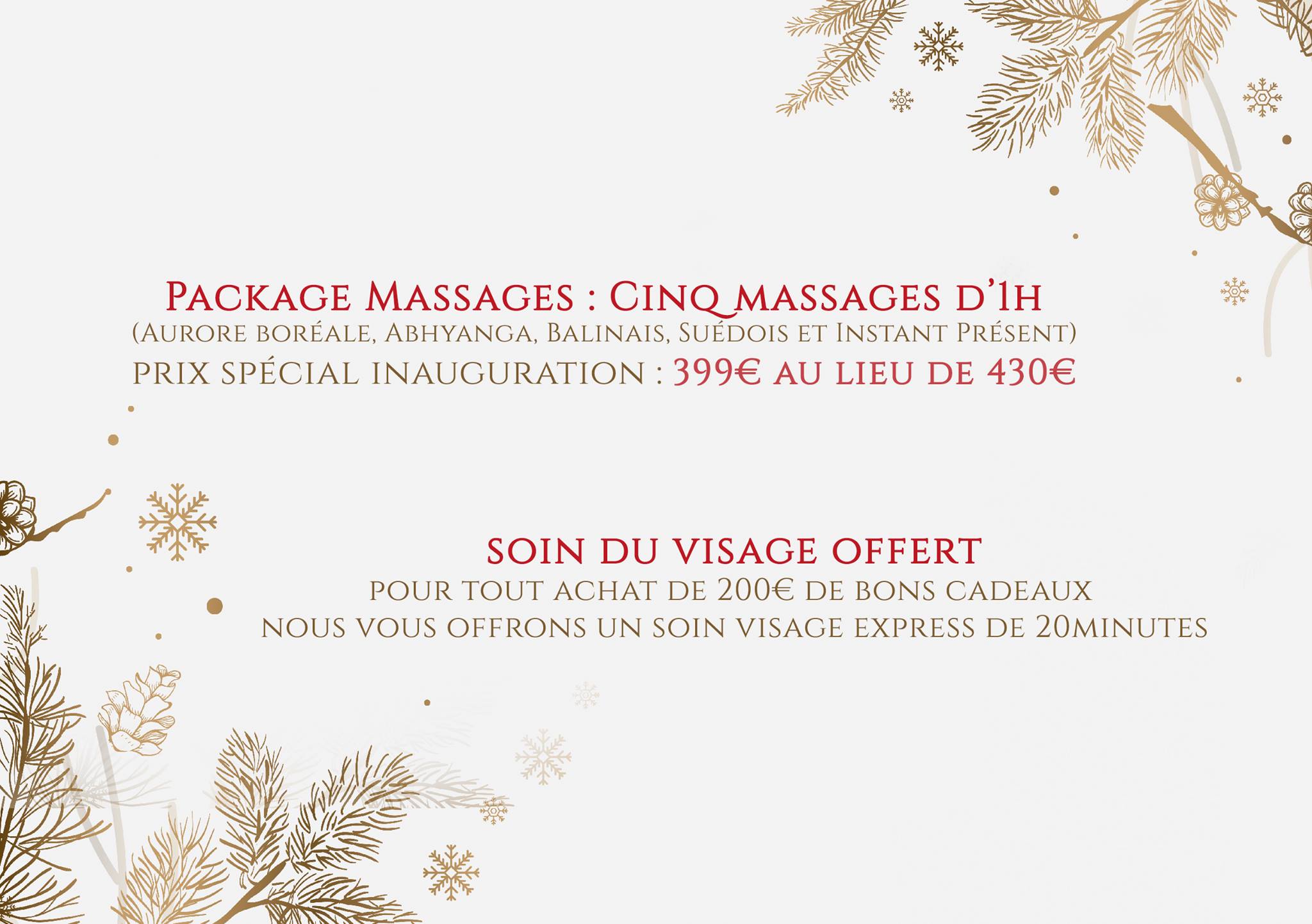 Découvrez nos offres de Noël :  Package Massages : Cinq massages d’1h (Aurore boréale, Abhyanga, Bal...