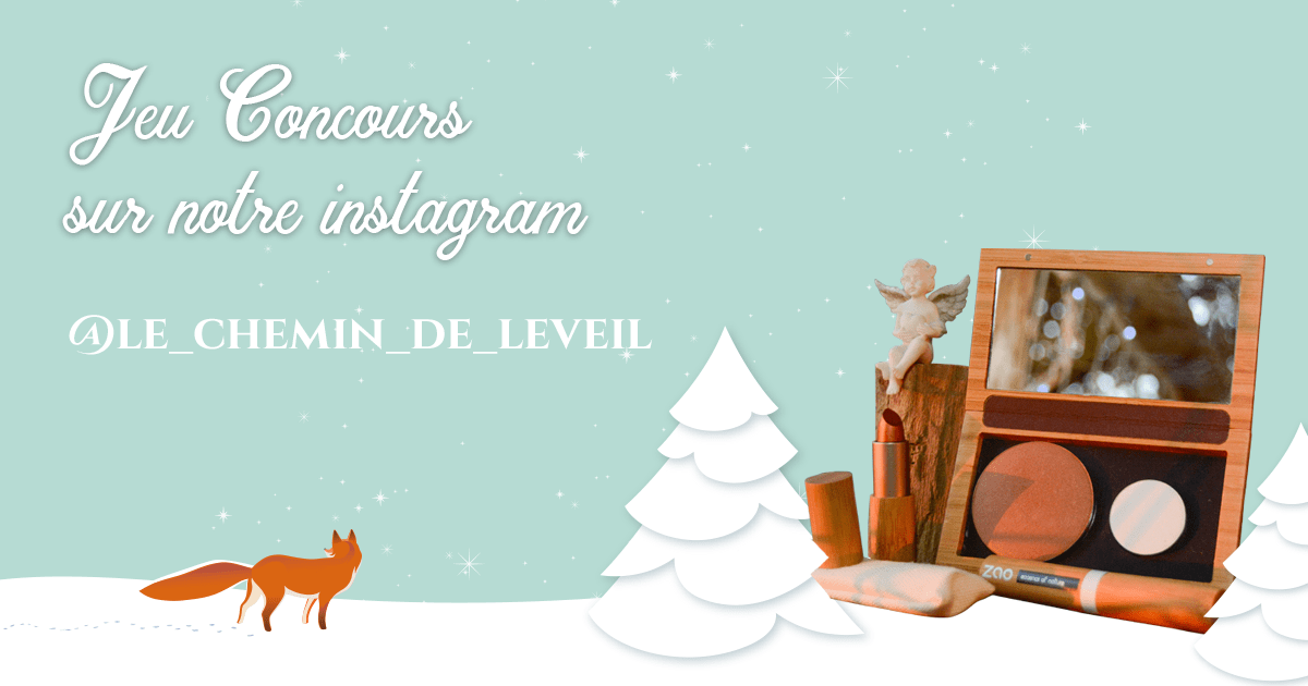Les festivités de Noël sont lancées  Tentez de remporter un coffret de maquillage ZAO en ouvrant la ...