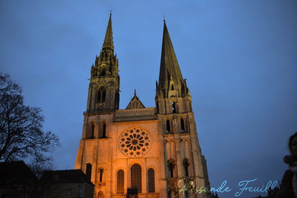 Chartres 3