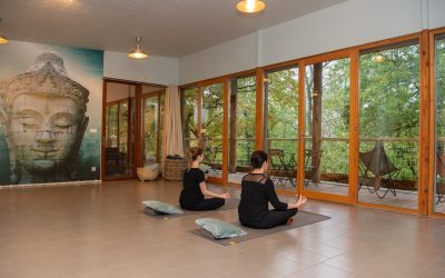 Chemin de l'éveil Zain & Zen
