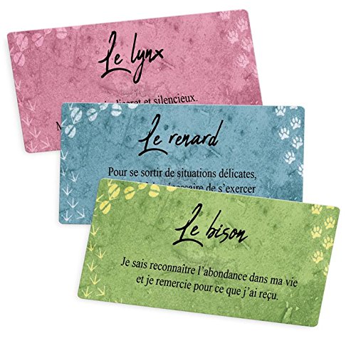 Le petit oracle des Animaux de pouvoir – Image 2
