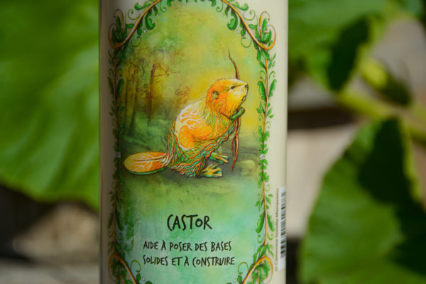Neuvaine Animal Totem - Castor – Image 2