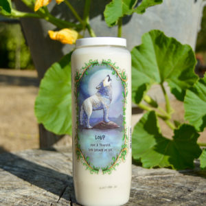 Neuvaine Animal Totem - Loup