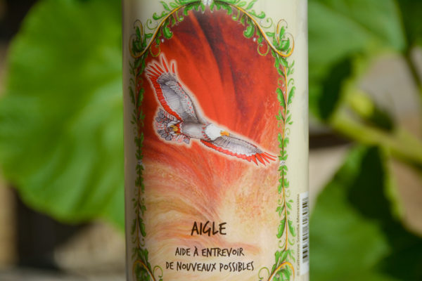 Neuvaine Animal Totem - Aigle – Image 2