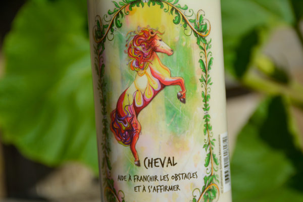 Neuvaine Animal Totem - Cheval – Image 2