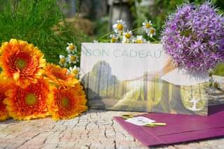 Peut être une image de Marguerite africaine, plein air et texte qui dit ’BON CADEAU’